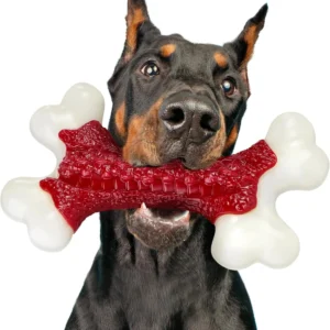 Tough Nylon Dog Bone Chew Toy